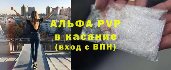 мдпв Богданович