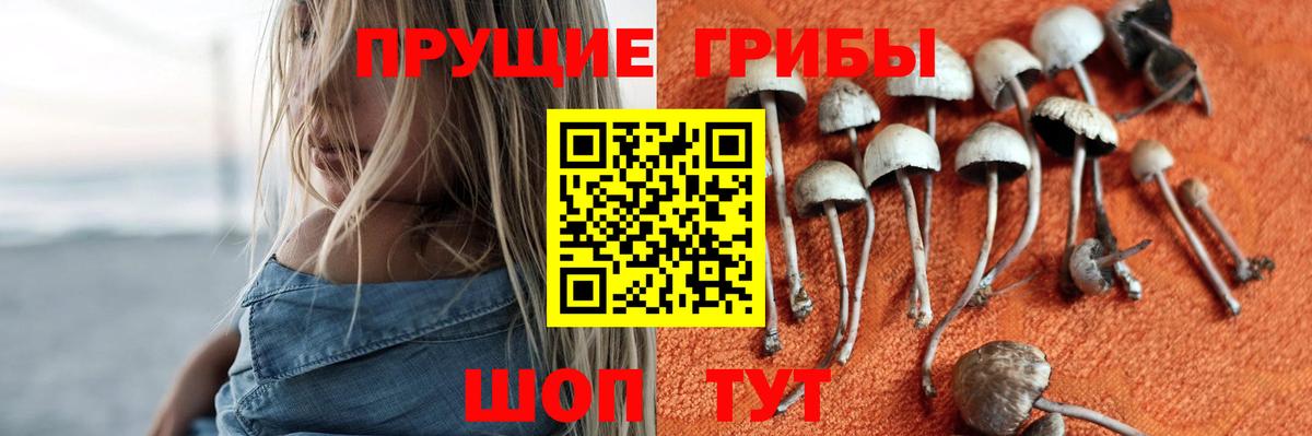 Псилоцибиновые грибы ЛСД Донской