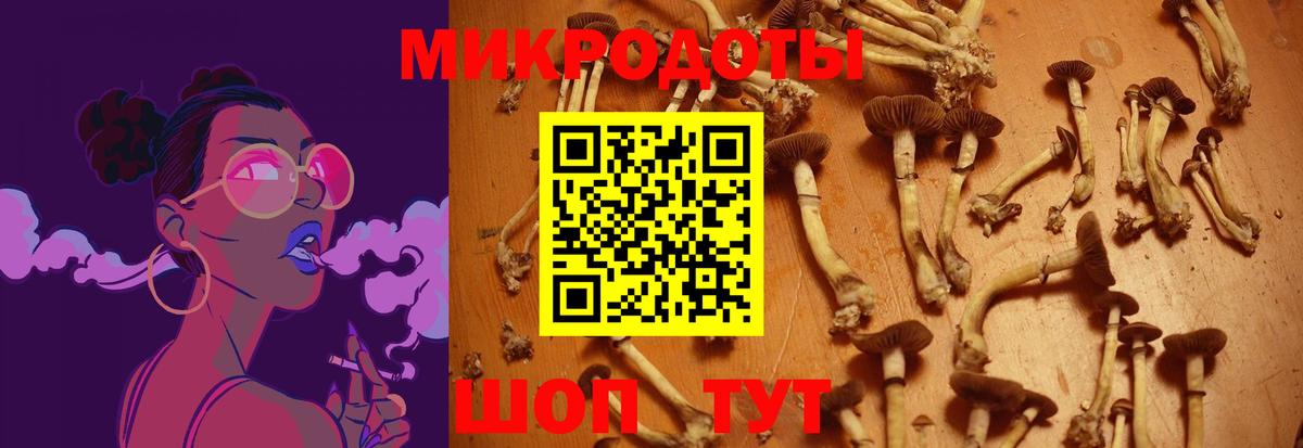 Галлюциногенные грибы Magic Shrooms  Вход с VPN  Донской  Галлюциногенные грибы Psilocybe 